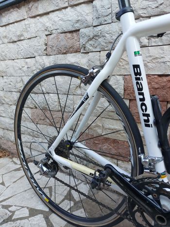 Used Bianchi 928 Carbon C2C 2008 Road & Gravel, White — image 8 of 15