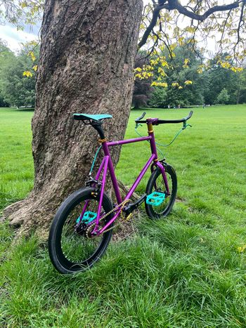 Used kosda Kosda Custom Single Speed / Fixed Gear 2026 Urban, Purple — image 5 of 10