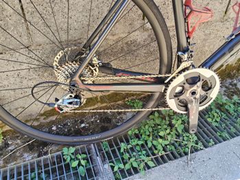 Used Focus Izalco SRAM Red 2017 Road & Gravel — image 2 of 3