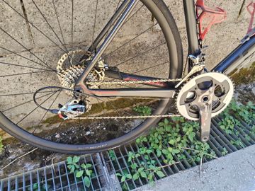 Used Focus Izalco SRAM Red 2017 Road & Gravel, Light Gray — image 2 of 3