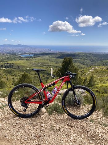 Used Canyon Canyon Lux Cf 2019 MTB