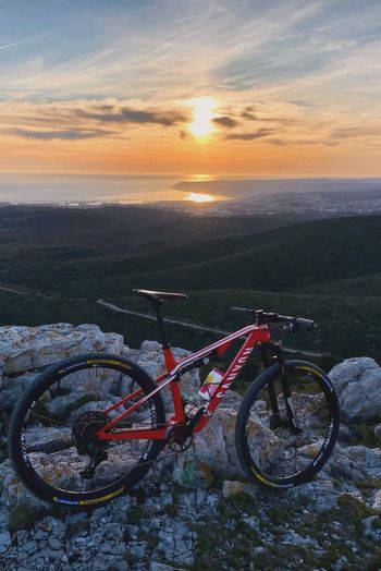 Used Canyon Canyon Lux Cf 2019 Mountainbike, Red — image 3 of 4