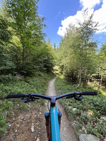 Gebrauchtes Yeti SB115 Custom 2021 2021 Mountainbike, Blau — Bild 5 von 6