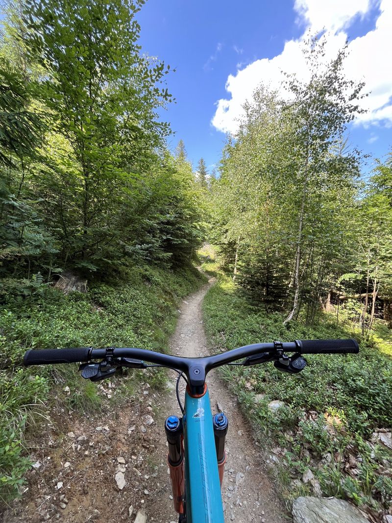 Gebrauchtes Yeti SB115 Custom 2021 2021 Mountainbike, Blau — Bild 5 von 6