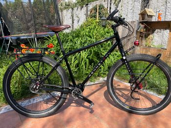 Used Rennstahl 853 Pinion P-Line Gearbox 2019 Urban & Touring