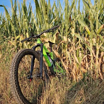 Used Specialized Enduro Comp 650b 2017 2017 Mountainbike, Green, 27.5 — image 4 of 4