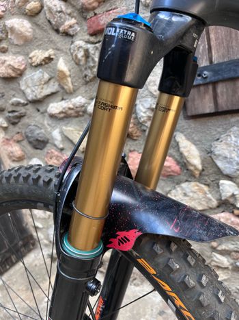 Used Santa Cruz Megatower XX1 Reserve / Carbon CC / 29 2021 2021 Mountainbike, Black — image 14 of 25
