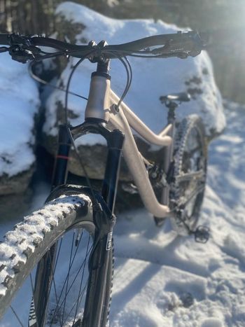 Used Alutech Alutech Custom Shimano Deore XT 2018 Mountainbike, Hellgrau, 29 — image 9 of 9