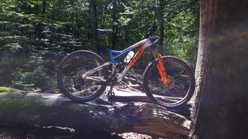 Used CUBE STEREO 150 C:62 SL 29 2021 2021 MTB