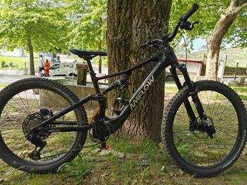 Used Amflow PL Carbon (800Wh) 2025 2025 Mountainbike, Black, 29 — image 3 of 3