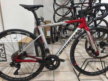 Used Bottecchia 8Avio Evo Shimano 105 Di2 2024 Road & Gravel