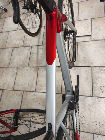 Used Bottecchia 8Avio Evo Shimano 105 Di2 2024 Road & Gravel, Light Gray — image 7 of 12