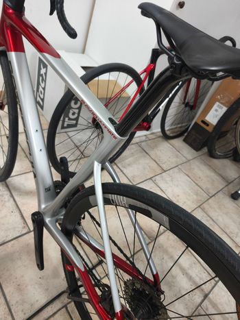 Used Bottecchia 8Avio Evo Shimano 105 Di2 2024 Road & Gravel, Light Gray — image 8 of 12