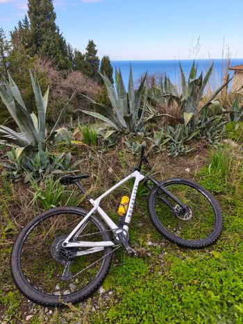 Used ROCKRIDER Fahrrad Mountainbike Hardtail XC Carbonrahmen Race 900 NX weiß 2026 2026 Mountainbike, White, 29 — image 2 of 3