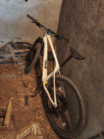 Used ROCKRIDER Fahrrad Mountainbike Hardtail XC Carbonrahmen Race 900 NX weiß 2026 2026 MTB
