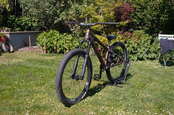 Used Rose THE BRUCE 1 2023 2023 VTT