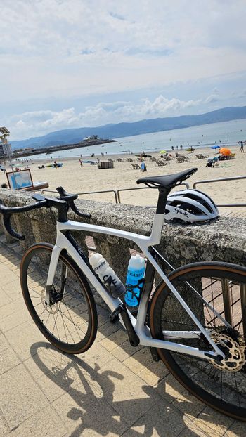 Used Trek Madone SL 6 Gen 8 2025 2025 Road & Gravel, White — image 5 of 6