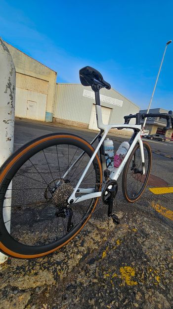 Used Trek Madone SL 6 Gen 8 2025 2025 Road & Gravel