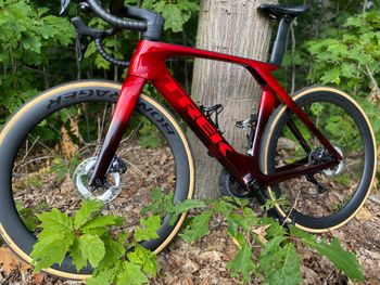 Used Trek Madone SLR 7 Gen 7 2024 2024 Road & Gravel, Red — image 2 of 4