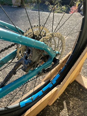 Used Trek Marlin 5 2019 2019 Mountainbike, Blue — image 12 of 15