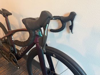 Used Trek Madone SLR 7 eTap 2022 2022 Road & Gravel, Green — image 2 of 8