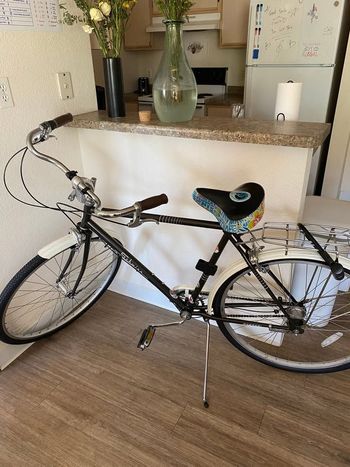 Used Schwinn Coffee Cruiser 2008 Urban & Touring