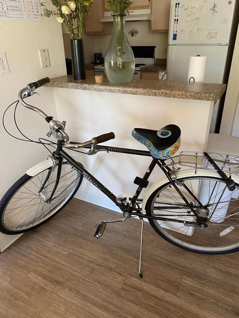Used Schwinn Coffee Cruiser 2008 Urban, White — image 1 of 3