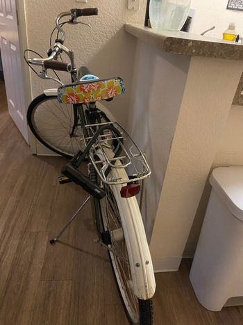 Used Schwinn Coffee Cruiser 2008 Urban, White — image 3 of 3