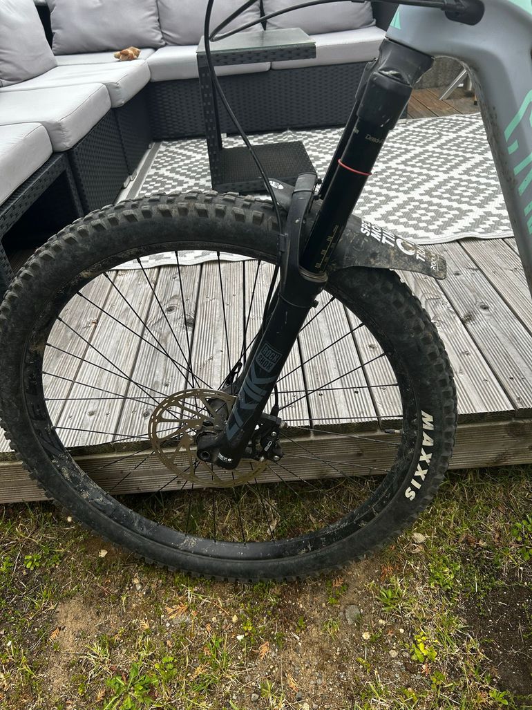 Used Canyon Strive CF 7 2021 2021 Mountainbike — image 2 of 9