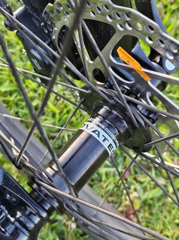 Used Focus Raven Shimano Deore XT 2025 Mountainbike, Light Gray — image 5 of 20