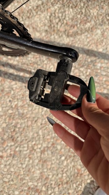 Used Olympia Olympia Karbo Race 2010 Road & Gravel, Black — image 2 of 14