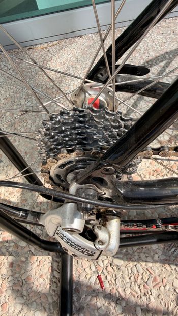 Used Olympia Olympia Karbo Race 2010 Road & Gravel, Black — image 11 of 14