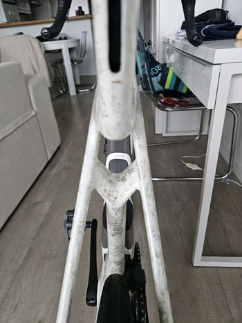 Used Trek Madone SLR 7 Gen 8 2025 2025 Road & Gravel, Blanco — image 6 of 7