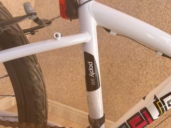 Used DECATHLON DECATHLON Custom Other Shimano 2018 Youth, White — image 5 of 16