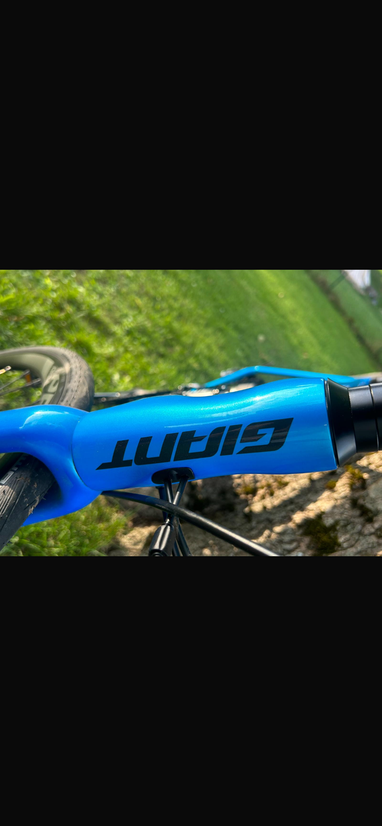 Used Giant TCR Advanced 1 Disc 2020 2020 Road & Gravel — image 1 of 14