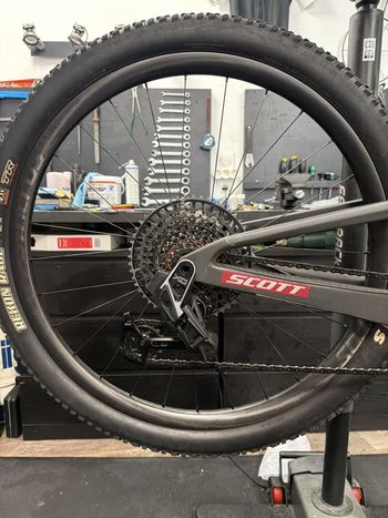 Used Scott Spark RC World Cup 2025 2025 Mountainbike, Black, 29 — image 12 of 15