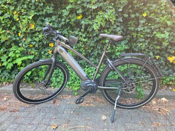 Used Gazelle Custom 2019 Urban, Light Gray — image 5 of 8