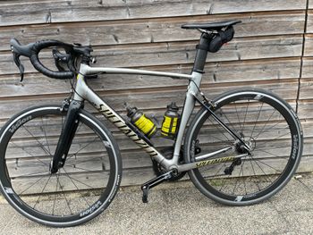 Used Specialized Allez Sprint Peter Sagan Edition 2017 Road & Gravel