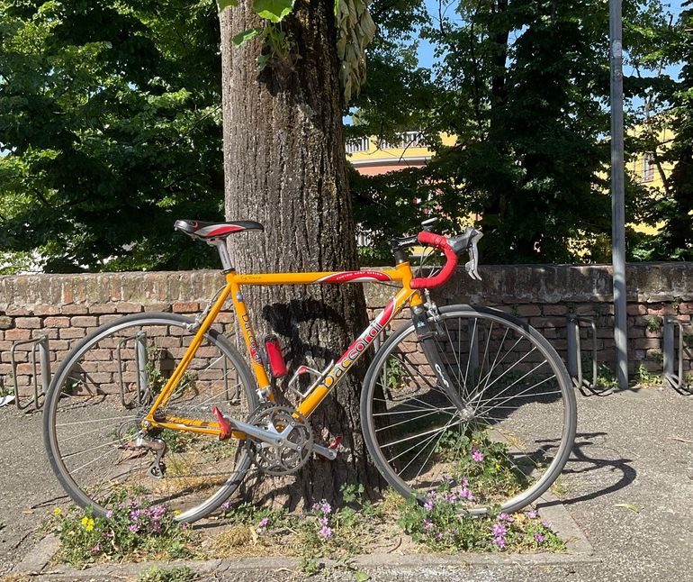 Used Daccordi Daccordi Custom Shimano Dura Ace 2000 Road & Gravel — image 1 of 6