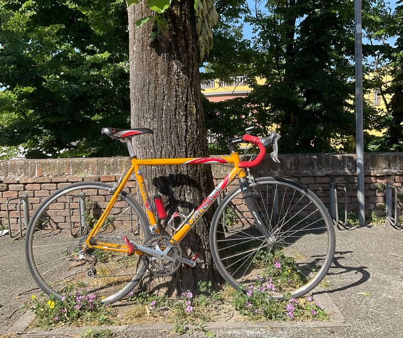 Used Daccordi Custom Shimano Dura Ace 2000 Road & Gravel, Orange — image 1 of 6