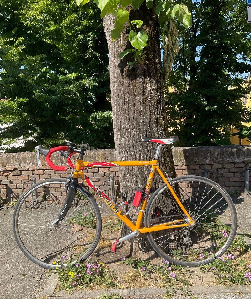 Used Daccordi Custom Shimano Dura Ace 2000 Road & Gravel, Orange — image 2 of 6