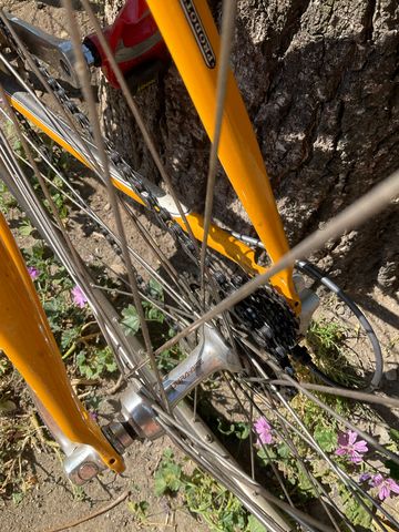Used Daccordi Custom Shimano Dura Ace 2000 Road & Gravel, Orange — image 5 of 6