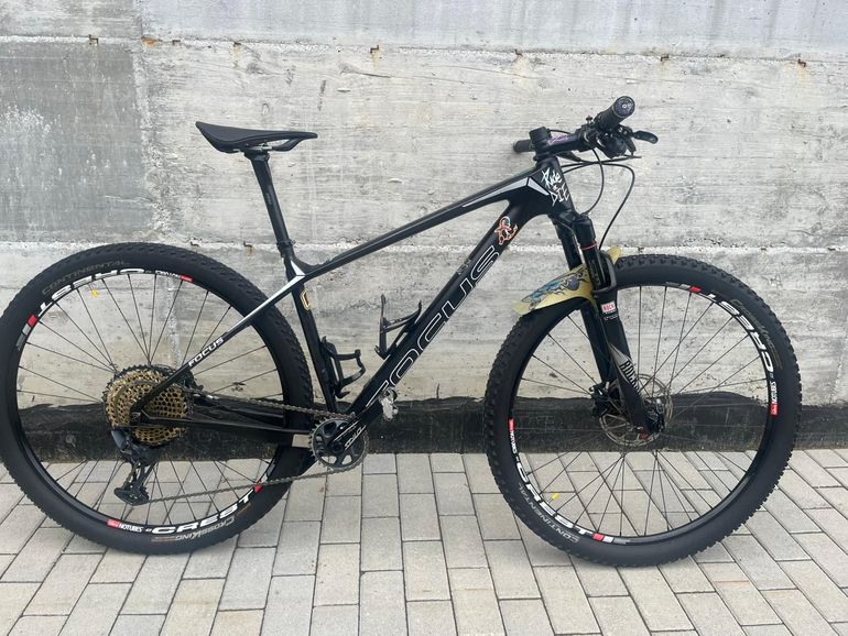 Used Focus Focus Raven 2017 2017 Mountainbike — image 1 of 6