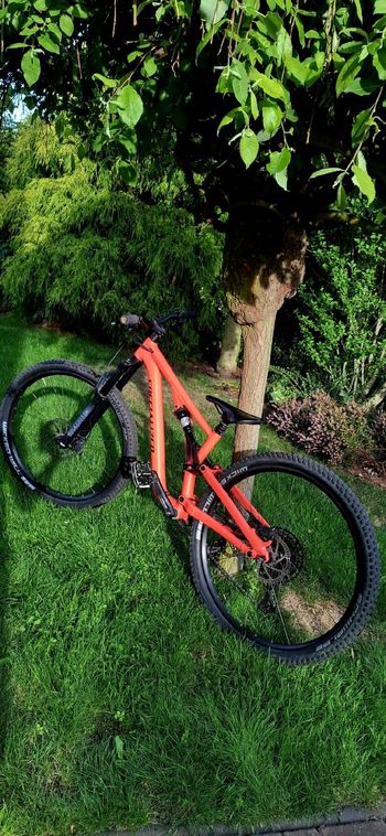 Used Specialized Men's Stumpjumper EVO Comp Alloy 29 2020 2020 Mountainbike — image 2 of 4