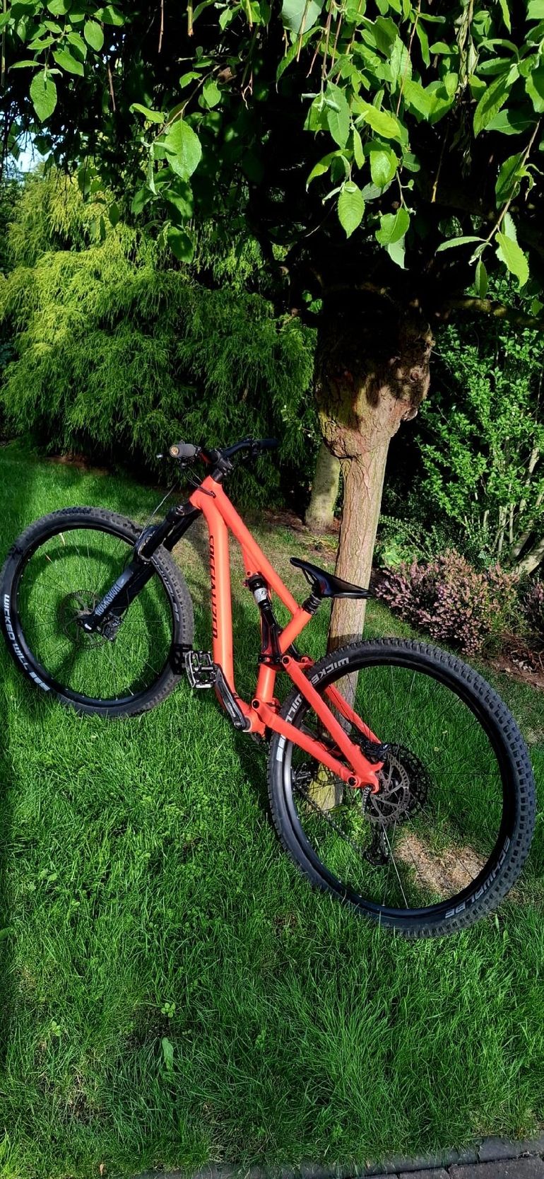 Used Specialized Men's Stumpjumper EVO Comp Alloy 29 2020 2020 Mountainbike — image 2 of 4