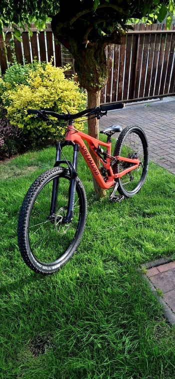 Used Specialized Men's Stumpjumper EVO Comp Alloy 29 2020 2020 VTT