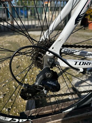 Used Torpado Torpado Custom Shimano Sora 2020 Road & Gravel, White — image 4 of 15