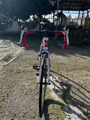 Used Torpado Torpado Custom Shimano Sora 2020 Road & Gravel, White — image 11 of 15