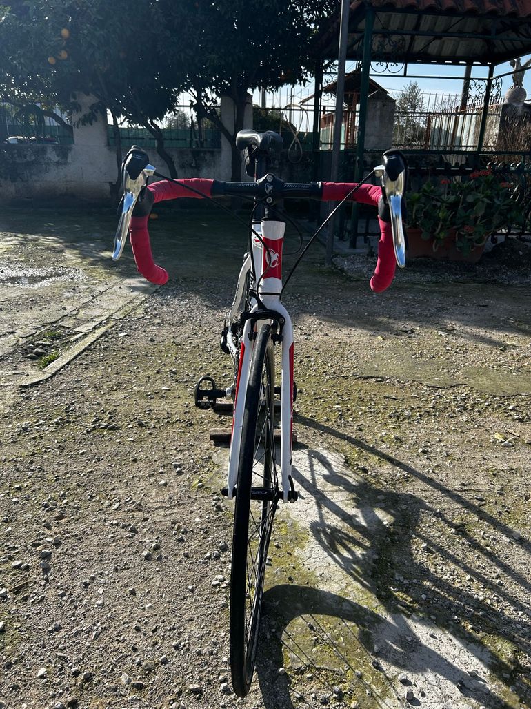 Used Torpado Torpado Custom Shimano Sora 2020 Road & Gravel, White — image 11 of 15