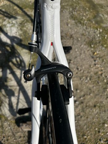 Used Torpado Torpado Custom Shimano Sora 2020 Road & Gravel, White — image 12 of 15